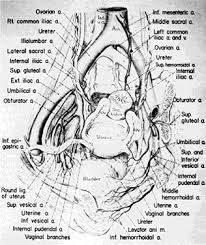 Maybe you would like to learn more about one of these? Surgical Management Of Intractable Pelvic Hemorrhage Glowm