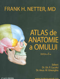 25 yıldır mükemmellik altın standart, frank h. Frank H Netter Atlas De Anatomie A Omului Libraria Mihai Eminescu