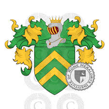 Image result for Avenella