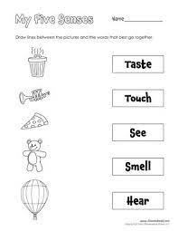 five senses worksheets for kids plus 5 senses craft tim s printables five senses worksheet preschool worksheets 5 senses worksheet