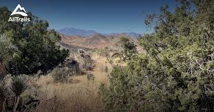 Black Rock Campground Trails