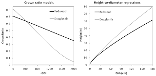 Modeling Young Stand Development towards the Old-Growth Reference Condition  in Evergreen Mixed-Conifer Stands at Headwaters Forest Reserve, California