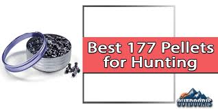 For the power portion of my indoor filed test i shot five rws 6.9 grain lead pellets through my chronograph with an average velocity of 305 fps. Top 6 Best 177 Pellets For Hunting 2020 Reviews