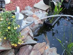 Once the water reaches the spout level, it will spill down to the lower level, only to be recirculated in a refreshing loop. Pin By Paint With Lola On Pond Ideas Diy Pond Pond Spitters Garden Pond Ideas