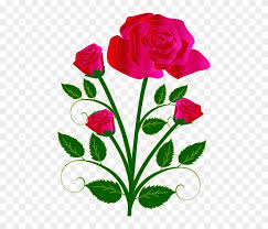 Bouquet of flowers drawing colored. Bouquet Flower Rose Red Love Sponsored Rose Drawings With Color Free Transparent Png Clipart Images Download