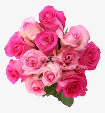 Check spelling or type a new query. Pink Wedding Flowers Png Related Fuschia Pink Flower Bouquet Png Png Image Transparent Png Free Download On Seekpng