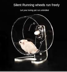 All contents (including pictures) of this web site are the property of golden exotic pets and may not be re produced without written permission and will be prosecuted to the fullest extent of the law. Amazon Hot Sale Good Quality Wholesale Hamster Running Wheel Chinchilla Hedgehog Running Wheel Buy 12 Inch Hamster Wheel Large Silent Chinchilla Wheel Pet Hamster Toys Product On Alibaba Com