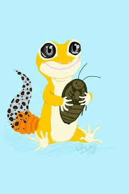 Young leopard gecko in front of a white background. Pics Adorable Leopard Gecko And His Best Friend Dinner Animais Adoraveis Repteis E Anfibios Ilustracoes