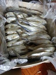 Resepi gulai ikan talang masin ala kenduri tumis darat. Stok Baru Untuk Pemborong Ikan Bilis Ikan Masin Tawau Facebook