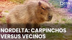 Nordelta ofrece todo en un entorno único: Hwt2ydsgihur3m