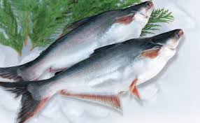 Tidak hanya diperhatikan masalah tempatnya saja. Sering Salah Ini Lho 6 Perbedaan Ikan Dori Dan Ikan Patin Tokopedia Blog