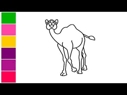 This will help you to draw the camel's body. Pin On Drawing Extra