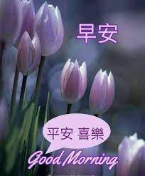 pin by david lee on 早安問侯 good morning morning