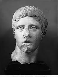 Narcisse Flower Antique Botanical Art circa 1833. Art Prints, Posters &  Puzzles from Alamy