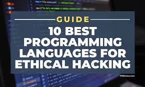 This is a roundabout way of saying if c# is too complex of a programming language for you. The 10 Best Programming Languages For Hacking Foss Linux