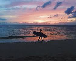 Great place for big waves and surfing yorumundan. Top 3 Places To Watch The Sunset In Oahu Dolphins And You