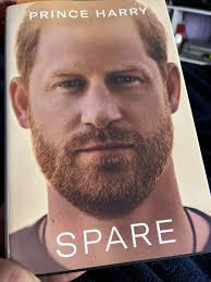 You guys have motivated me to come back to my love of reading. So here it  goes..my first book of 2023!