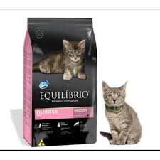We did not find results for: Harga Makanan Kucing Equilibrio Terbaik Hobi Koleksi Juli 2021 Shopee Indonesia