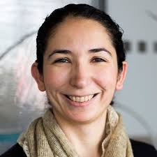 Necmiye Ozay is the Recipient of the First Faculty Development  Professorship in ECE