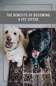 Because we believe everyone should experience the love of a dog. Pawshake Pet Sitting Dog Sitting Dog Boarding Pawshake Twitter