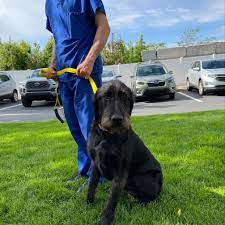 Check spelling or type a new query. Riverton Vet Clinic Home Facebook
