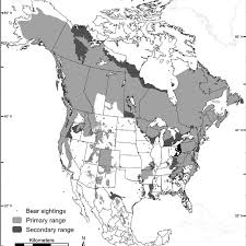 Black Bear Population By State 2019 Estimated Primary And Secondary Range For American Black Bears In North Download Scientific Diagram