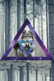 See a recent post on tumblr from @st4ticbuzz about galaxy rt. 48 Hipster Wolf Wallpaper On Wallpapersafari