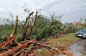 Вы можете получить выписку из егрюл/егрип о конкретном юридическом лице/индивидуальном предпринимателе в форме электронного документа. Mg1plbgc 5a8km