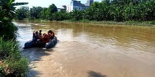 Lidah buaya mengandung berbagai nutrisi yang baik untuk kesehatan, apa saja? Detik Detik Petani Di Sumut Diterkam Buaya Di Hadapan Istri Dan Anaknya Halaman All Kompas Com