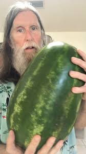 Watermelon season is here! 🍉😋, #plantbasednutrition #whatveganseat  #wholefoodplantbased #vegannutrition #plantbasednutrition #alabamavegan  #veganweightloss #plantbasedfood #plantbasedmeals ...