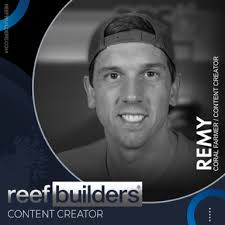 Why a Strong Cleanup Crew is so Important in a Reef Tank