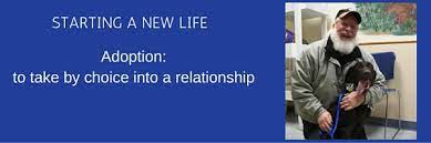 We heip where heip is needed, regardiess of breed, age, size, or medicai needs. Animal Care Control Adopting A Pet