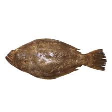 West coast dover sole fish taco. Dover Sole Fish Yallafish Com Buy Fresh Fish Online In Abu Dhabi