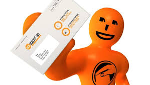 Local body election nominations, Southland