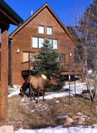 Solitude cabins offers fully furnished, private estes park vacation rentals with two bedrooms and two bathrooms that sleep up to six people. 12 Best Glamping Vacations In Colorado The Denver Ear