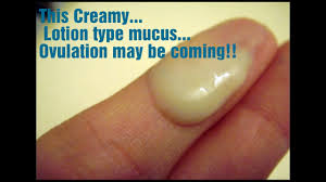 Thick, white discharge that looks like cottage cheese curds. How To Check Your Cervical Mucus Fertility Tracking