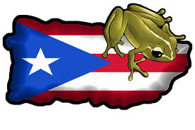 Download and use 5,000+ puerto rico flag stock photos for free. Puerto Rican Flag Coqui Blizzplanet