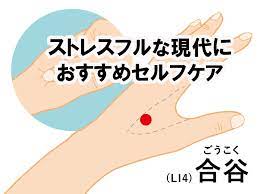 免疫向上、肩こり、歯が痛むときの応急処置にも効く万能ツボ 「合谷」でセルフケア | 「こんなはずじゃなかった！」は起こさない。  寝たきり予防請負人が伝える、「介護」の困ったを無くすためにできる5つのコツ」