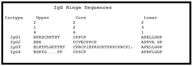 Camel milk naïve polyclonal iggs isolated from camel milk could inhibit the hcv infectivity and demonstrated immunoassay for determination of camel and human iggs reactivity against hcv peptides elisa plate was coated with 50. Antibodies Free Full Text Antibody Structure And Function The Basis For Engineering Therapeutics Html