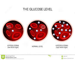 Get information about glucose, a simple sugar used to manage hypoglycemia and intervenous (iv) feeding. Glukose Im Blutgefass Vektor Abbildung Illustration Von Zellen 108915221