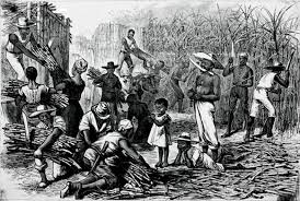 La Zafra Ya Comenzo Cuba Slavery History