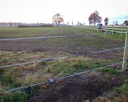 Was Mache Ich Wenn Der Aussenzaun Meiner Pferdekoppel Nicht Sicher Ist Haufig Stossen Wir Auf Elektrische Aussenzaune Auf Pachtwiesen D In 2020 Soccer Field Field