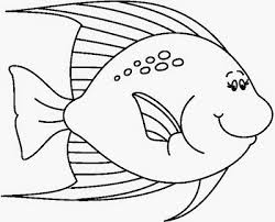 Albumes Web De Picasa Animali Infanzia Oceania