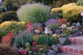Pin On Garden