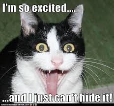 Demokraticka Strana Odlisny Uzivatel I M So Excited I Just Cant Hide It Klimatizace Mlada Dama Koncentrace