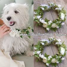Dog Wedding Collar Dog Of Honor Dog Wedding Leash Dog Wedding Dog Collar Dog Flower Collar Dog Wedding Attire