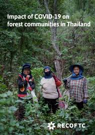 Thailand coronavirus news is a section dedicated to the new coronavirus that is causing an epidemic in china and fast spreading globally. Impact Of Covid 19 On Forest Communities In Thailand Recoftc