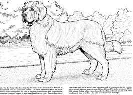 Households own a pet, which equates to 72.9 million a beautiful dog to color (beauceron). Best Coloring Books For Dog Lovers Dog Coloring Page Dog Coloring Book Animal Coloring Books