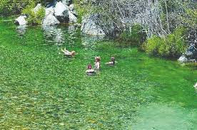 We did not find results for: California Budget Woes Crime Trash And Gates If South Yuba Closes Sierrasun Com