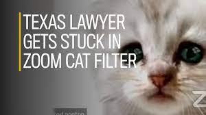 The cat got lawyer rod ponton's tongue tuesday in virtual court—after a cat filter briefly got his face. Texas Lawyer Gets Stuck In Zoom Cat Filter Youtube